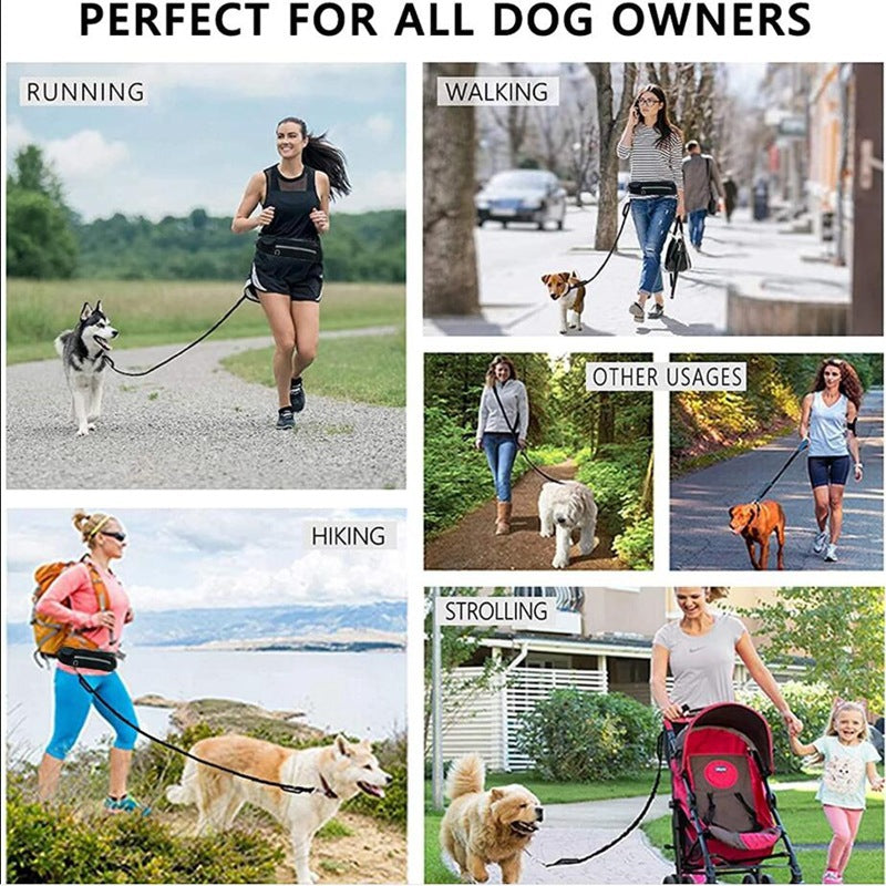 Hands Free Dog Leash & Training Belt $\vert$ Shock Absorbing Bungee for Large Dogs (Up to 180lbs) $\vert$ Includes Phone Pocket & Water Bottle Holder