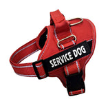 Personalized Pet Harness & Chest Strap Custom Engraved ID Tag Adjustable No-Pull Dog Vest Unique Pet Products
