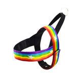 Stylish Rainbow Dog Chain Leash Cool Multi-Color Pet Traction Rope Durable Metal Walking Chain Pet Products