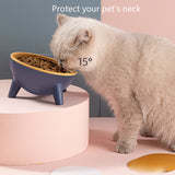 Cat, Dog, & Rabbit Food Bowl with Stand Modern Nordic Design Elevated Pet Feeder