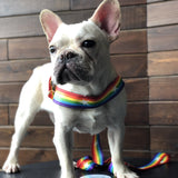 Stylish Rainbow Dog Chain Leash Cool Multi-Color Pet Traction Rope Durable Metal Walking Chain Pet Products