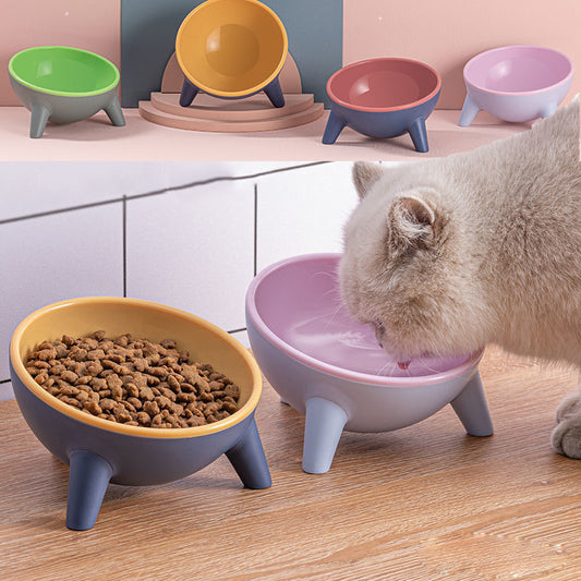 Cat, Dog, & Rabbit Food Bowl with Stand Modern Nordic Design Elevated Pet Feeder