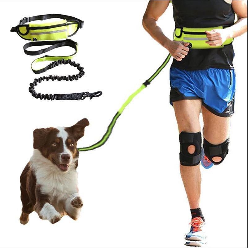 Hands Free Dog Leash & Training Belt $\vert$ Shock Absorbing Bungee for Large Dogs (Up to 180lbs) $\vert$ Includes Phone Pocket & Water Bottle Holder