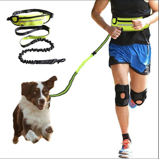 Hands Free Dog Leash & Training Belt $\vert$ Shock Absorbing Bungee for Large Dogs (Up to 180lbs) $\vert$ Includes Phone Pocket & Water Bottle Holder