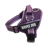 Personalized Pet Harness & Chest Strap Custom Engraved ID Tag Adjustable No-Pull Dog Vest Unique Pet Products