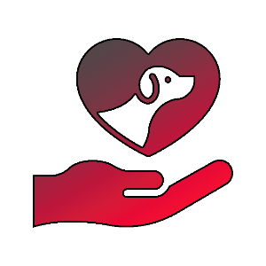 Zestflowshop Limited