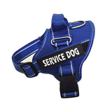 Personalized Pet Harness & Chest Strap Custom Engraved ID Tag Adjustable No-Pull Dog Vest Unique Pet Products
